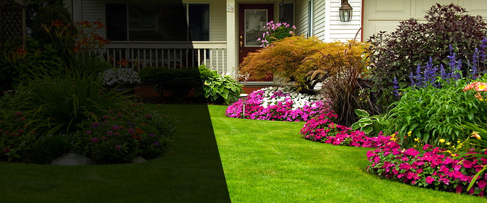 Angleton Landscapers